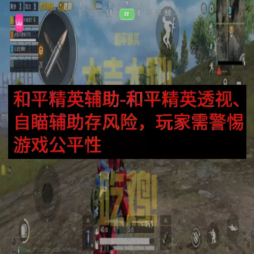 和平精英辅助-和平精英透视、自瞄辅助存风险，玩家需警惕游戏公